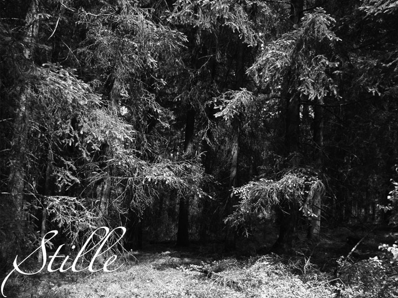 Stille